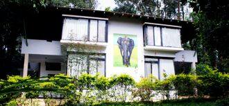Homestay Gridarsahini, Gokarna 3